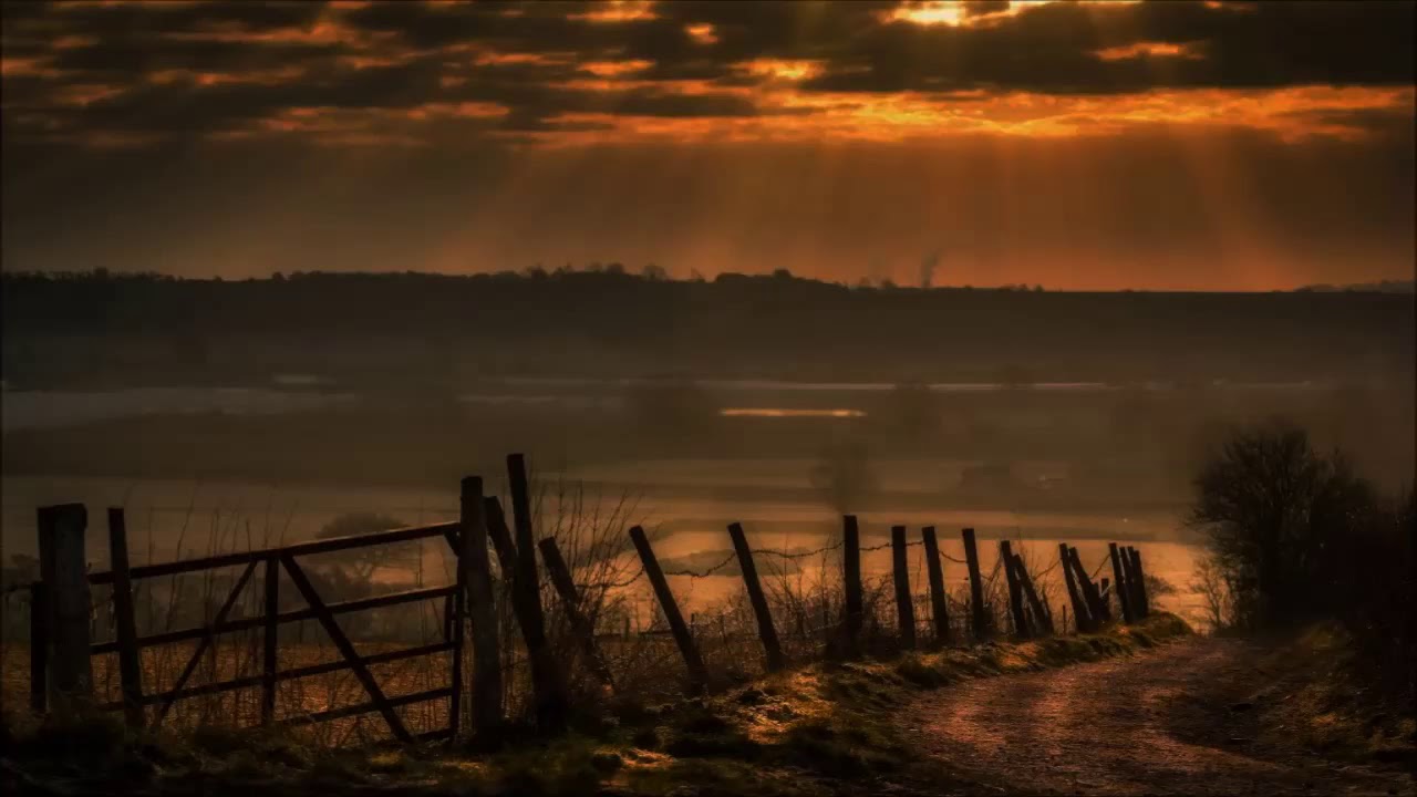 follow EDM SONY VN 1hour