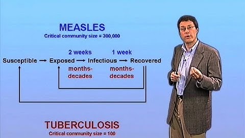 SEIR model of epidemic dynamics - John McKinney (EPFL)