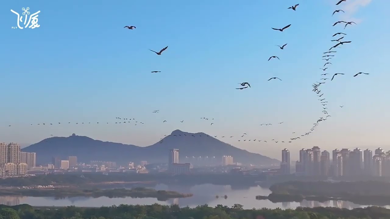 A Poetic Flight of Ten Thousand Birds