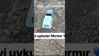 19 Eylül 2024 Te Instagram Dan Mırmır In Öldüğünü Söyledi