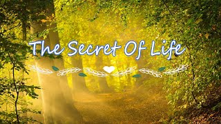 The Secret Of Life | Stop Worrying And Start Living | Short Motivational Video screenshot 2