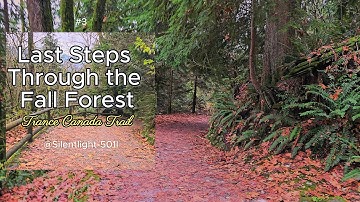“Canada’s Most Beautiful Autumn Trail 🍁 | 4K Relaxing Forest Walk”(Part 3)