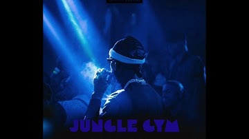 Travis Scott jungle gym unreleased