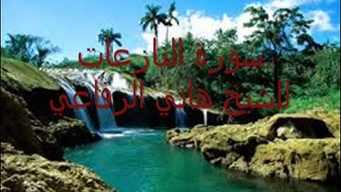 سورة النازعات للشيخ هاني الرفاعي