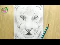 Tiger Face Speed Drawing 🐯 Pencil Sketch of Tiger Face