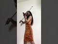 odissea Veneziana -rondo veneziano - Rosa De Donato violinista matrimonio