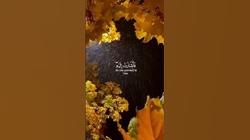 فَأَتَتْ بِهِ قَوْمَهَا تَحْمِلُهُ ۖ||تلاوه من سورة مريم|شريف مصطفى||ستوريات #quran |راحه نفسيه 🥹💙