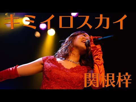 キミイロスカイ  関根梓～セイチョウノイロ～より