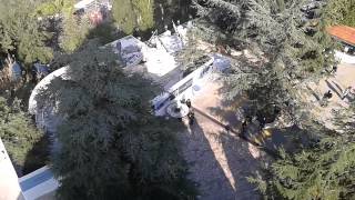 Ethiopian orthodox beirut yeEMEAMLAK yetwuldterara screenshot 5