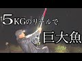 【5kg巨大リール】で【巨大魚】狙う!