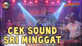 CEK SOUND WONG JOWO ( sri minggat ) WISATA BITING PONOROGO // GB AUDIO