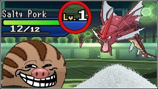 ★~EPIC SWINUB SWEEP~★ (LEVEL 1 TROLL)