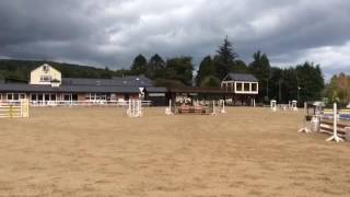 Charlie jumping 1m