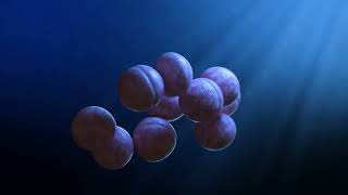 cell division effect in houdini.#houdini #3d #animation #motiongraphics #art
