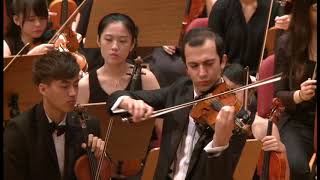 Jean Sibelius: Violin Concerto in D Minor, Op. 47 1st Mov.