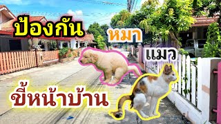 ป้องกันหมาแมวขี้หน้าบ้าน จากประสบการณ์จริง_Helper_EP.68