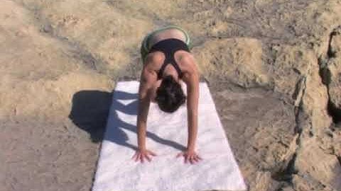 Somatic and Yoga Video  (Part 2: Warm Up & Sun Salutations)