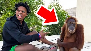 iShowSpeed Meets a MONKEY For the FIRST Time.. 😂