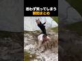 思わず笑ってしまう瞬間まとめ🤣🤣🤣