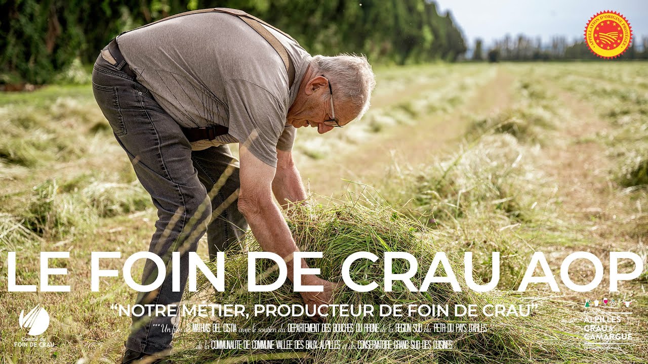 Notre métier, Producteur de Foin de Crau - AOP Foin de Crau 