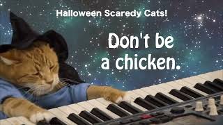 BOO from Keyboard Cat! by Keyboard Cat! 14,205 views 6 months ago 38 seconds