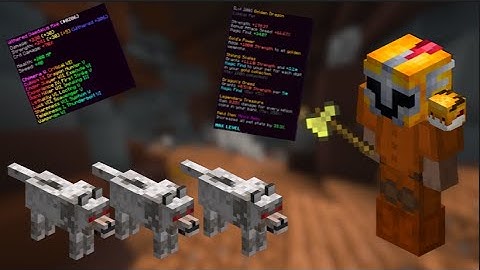 Spent 1.8 Billion on Magic Find – Is It Worth It? | Hypixel Skyblock