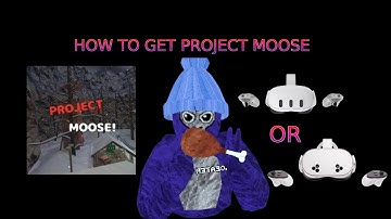 HOW TO GET PROJECT MOOSE ON QUEST 3 AND QUEST 3S