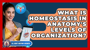 What Is Homeostasis In Anatomy