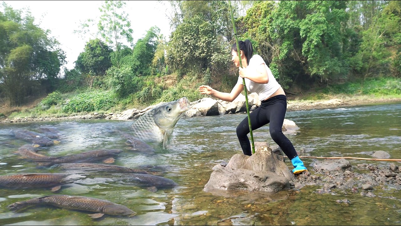 The girl used a bamboo fishing rod to trap large fish in the stream.