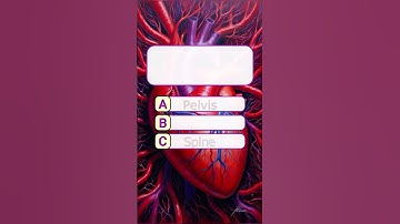 can you get 6/6? #shorts #quiz #quiztime #quizgame #quizchallenge #quizshow #quizzes #englishquiz