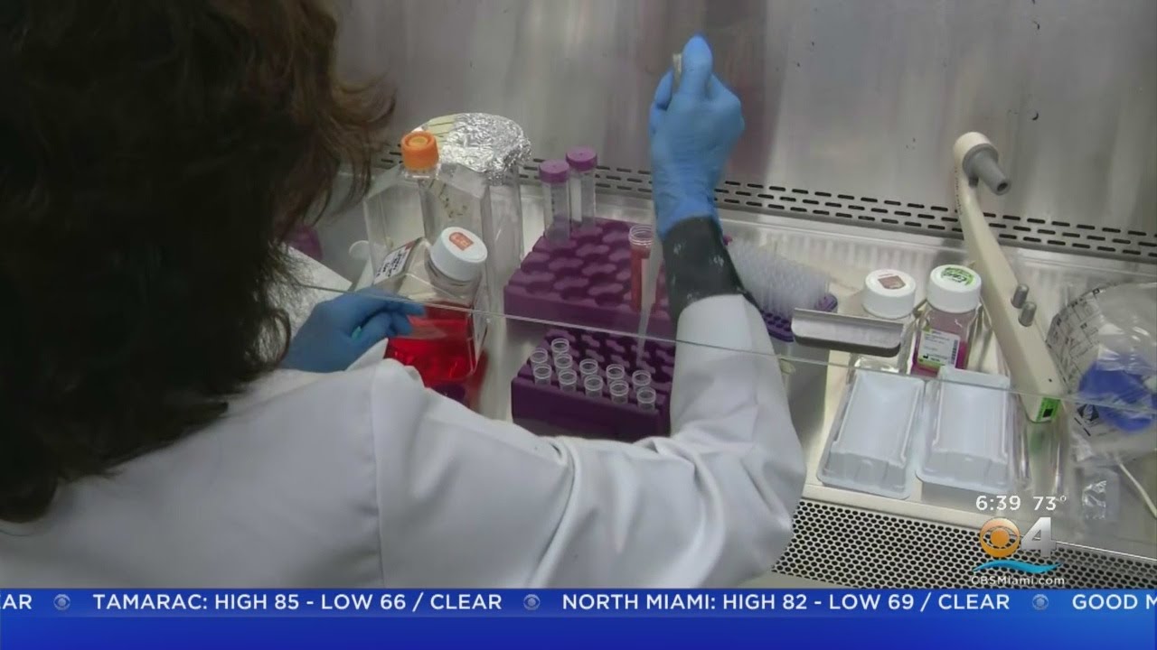 Coronavirus Vaccine Being Worked On In University Of Miami Lab - YouTube