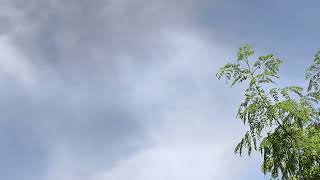 Cloud passing time lapse #cloudpassing #clouds #timelapsevideo #timelapse #sky