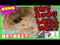 【詰まり抜き&すっきり】桝がまるごと油でガッチガチだったので、高圧洗浄で排水管も一緒にきれいに掃除しました！[drain][排水溝掃除][現場]