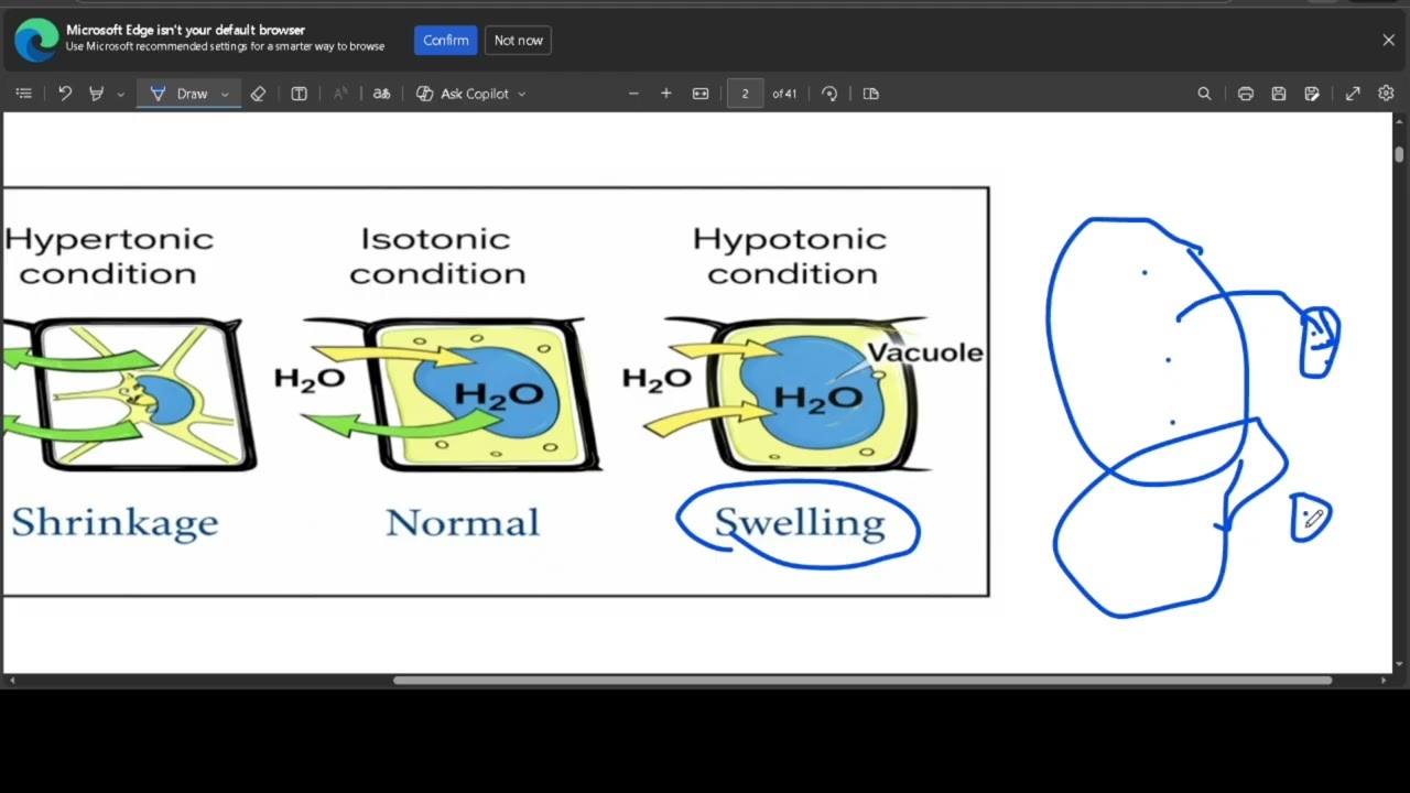  محاضرة الأولى الكيمياء مرحلة رابعة تحليلات
