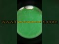 High powered Civil Defense Siren Loudspeaker