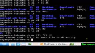 How to move files in directory in Linux Mint