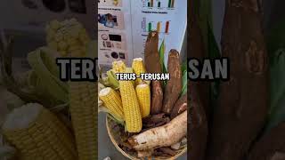 Penelitian Teknik Material ITB