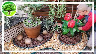 Garden decor with Anthurium / Garden ideas by Refúgio Green 16,397 views 8 months ago 12 minutes, 11 seconds