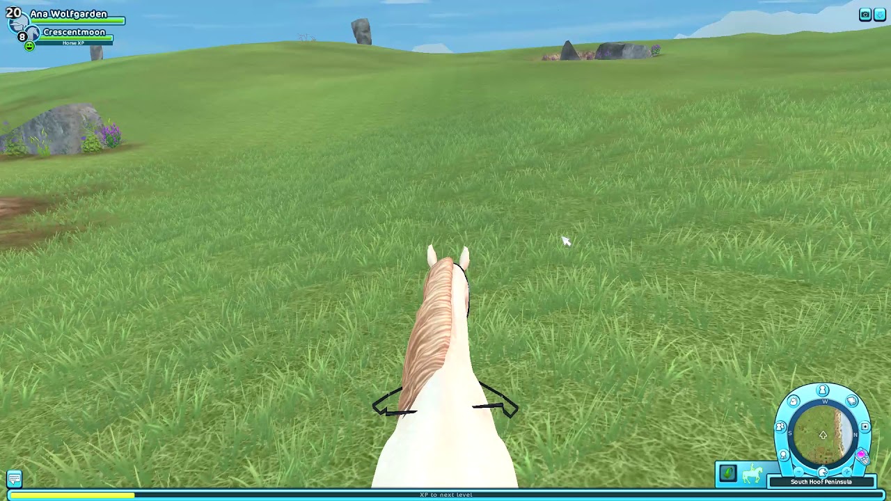 First Person View