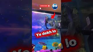 O😱kya hai #aquarium #shortsfeed #fish #vlog #share #youtubeshorts #trending #pets #views #like #yt