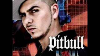 Pitbull Feat Janet Jackson  Not My Love