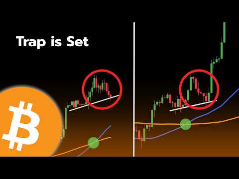 Video preview for THE BEAR TRAP RETURNS... (History is Repeating)