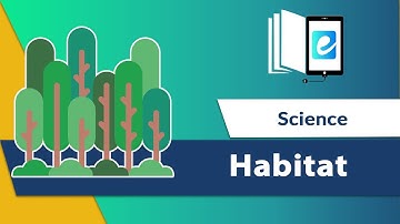 Habitat Animated Video