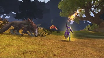 Crusaders of Light - Meet the Paladin