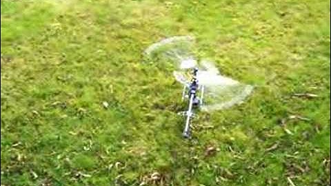 Trex 450 First Hover Outside.