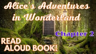 Read Aloud Book (ESL) - Alice's Adventures in Wonderland by Lewis Carroll Ch. 2