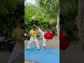 Kick Selfdefense Tricks #shorts #shotokan #kravmaga #taekwondo #taekwondochamp #the #viral