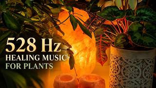 528 Hz Healing Music for Plants & You 🌱 Pure Frequency for Growth, Harmony & Positive Energy screenshot 2