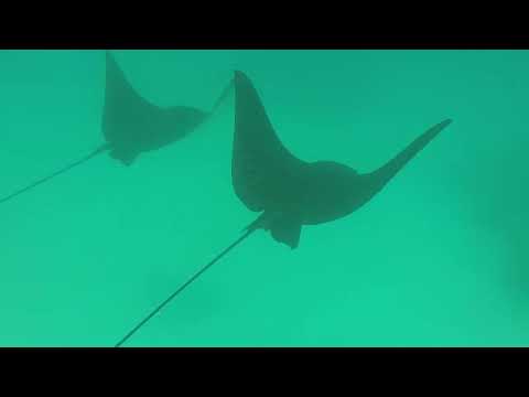 Морские приключения
