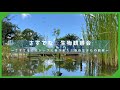 さすてなビオトープに春が来た！春の生きもの観察【さすてな☆生物観察会】